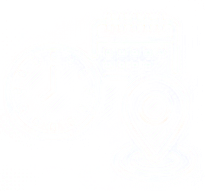 Ícone de timestamp e geolocalização em campo.