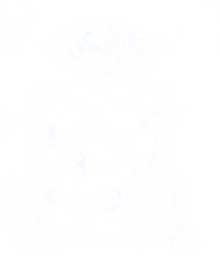 Ícone de histórico e auditoria do ativo.