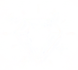 Ícone de diamante representando valor e cuidado com ativos críticos.